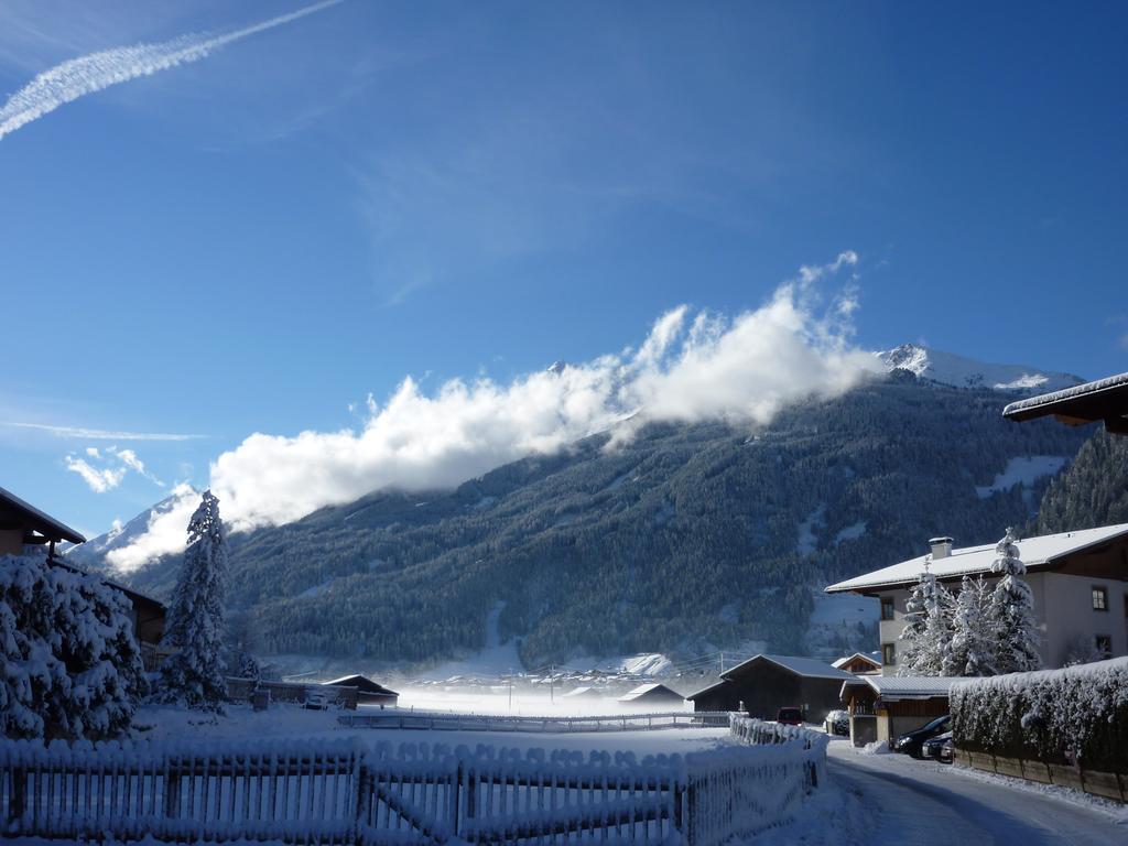 Haus Bellis Leilighet Neustift im Stubaital Eksteriør bilde